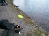 Viswedstrijd